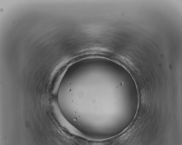 X0000068841164200605121359