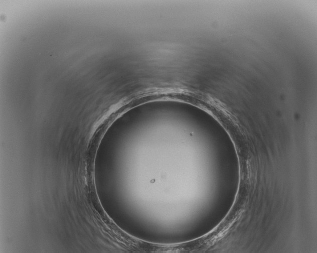 X0000068841165200605121359