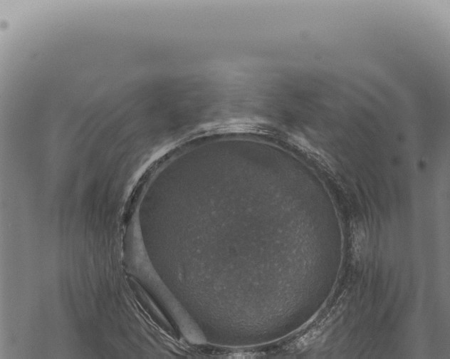 X0000068841166200605121359