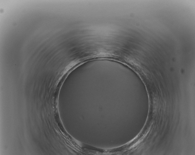 X0000068841170200605121359