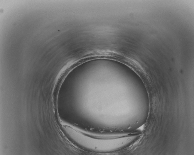 X0000068841172200605121359