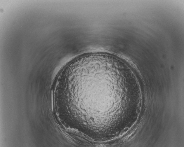 X0000068841175200605121359