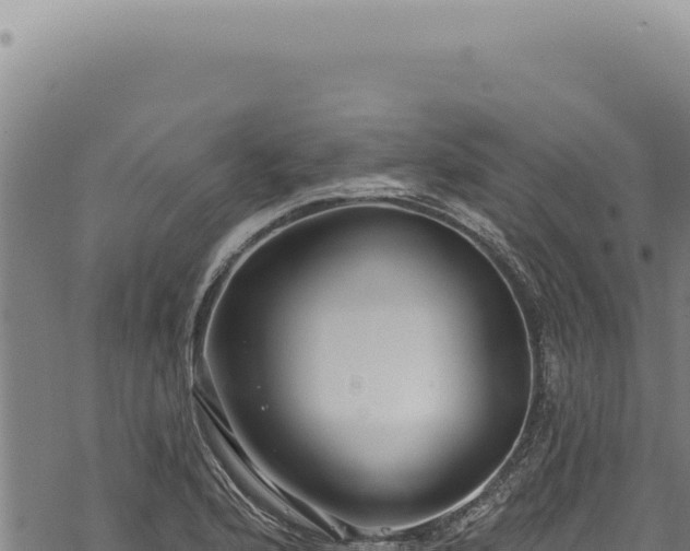 X0000068841176200605121359