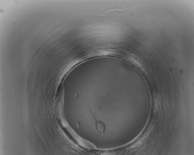 X0000068841178200605121359