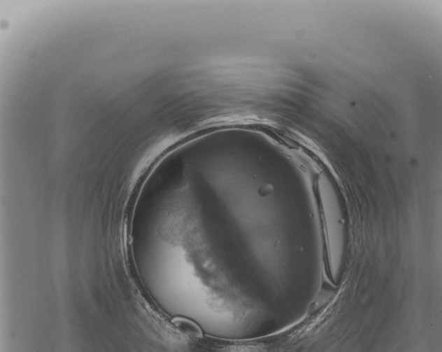 X0000068841179200605121359