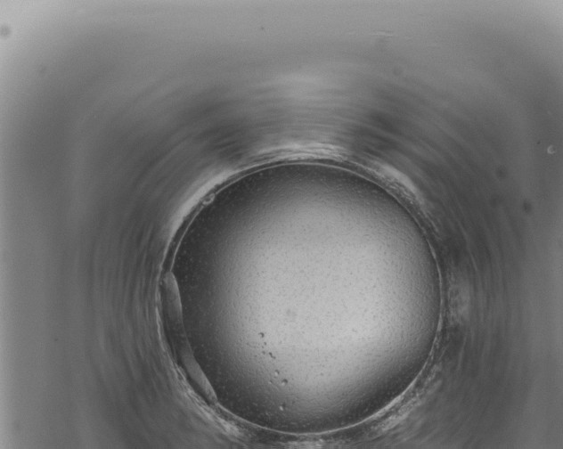 X0000068841182200605121359