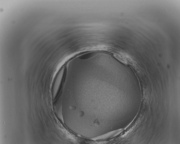 X0000068841184200605121359