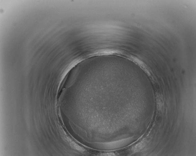 X0000068841186200605121359