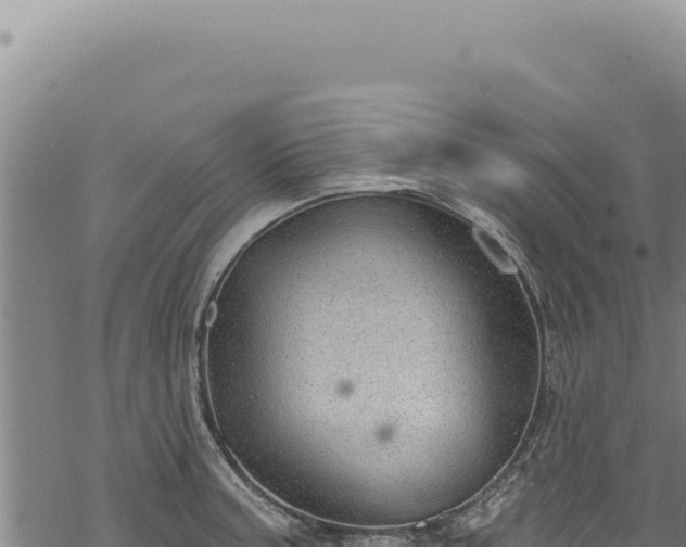 X0000068841187200605121359