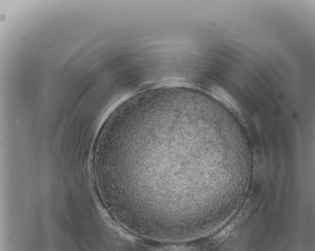 X0000068841190200605121359