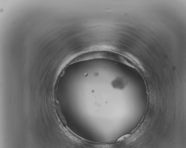 X0000068841192200605121359