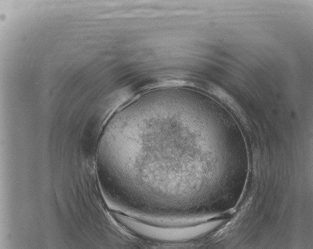 X0000068841193200605121359