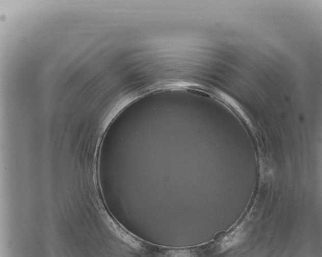 X0000068841194200605121359