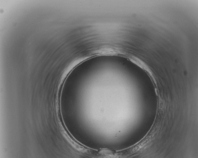 X0000068841195200605121359