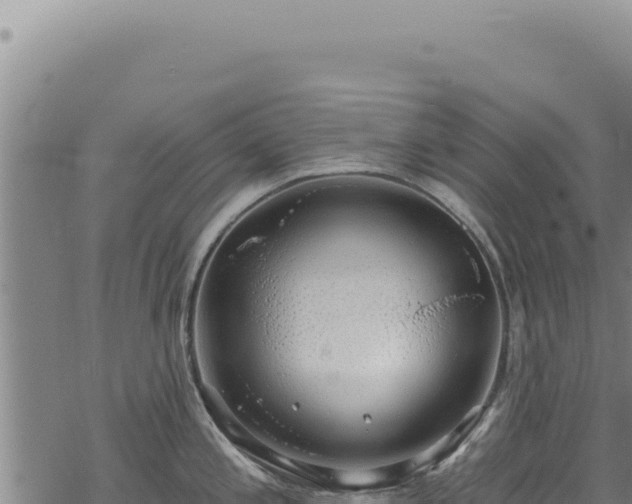 X0000068841197200605121359