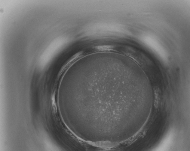 X0000068841198200605121359