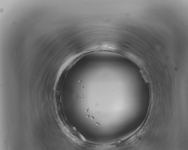 X0000068841200200605121359