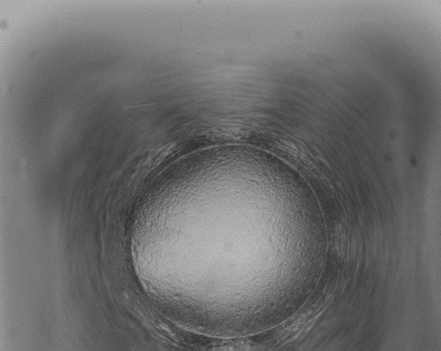 X0000068841201200605121358