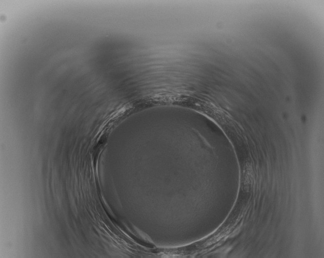 X0000068841202200605121358