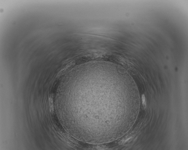 X0000068841203200605121358