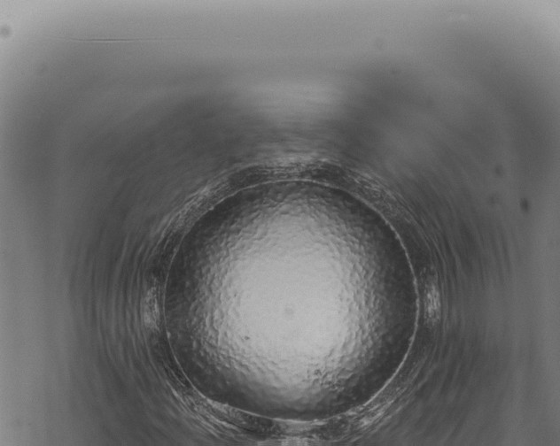 X0000068841204200605121358