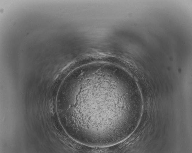 X0000068841205200605121358