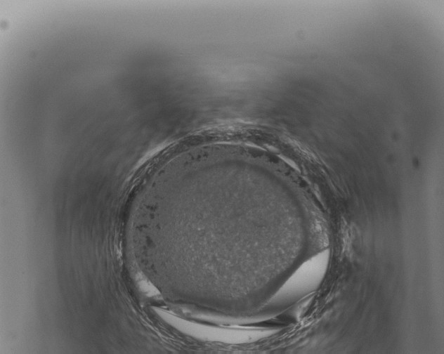 X0000068841206200605121358