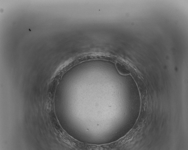 X0000068841207200605121358