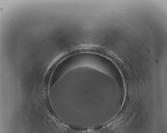 X0000068841208200605121358