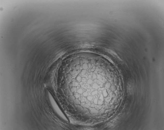 X0000068841209200605121358