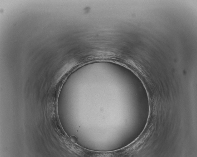 X0000068841211200605121358