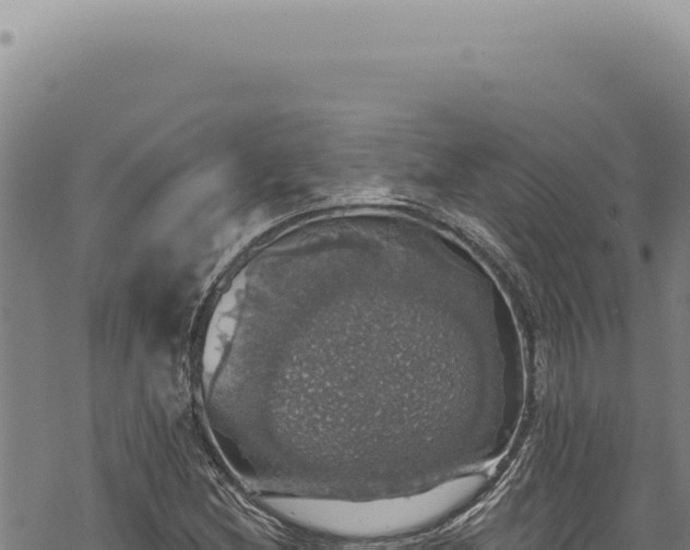 X0000068841212200605121358