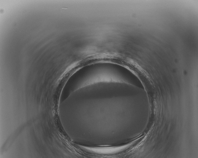 X0000068841213200605121358