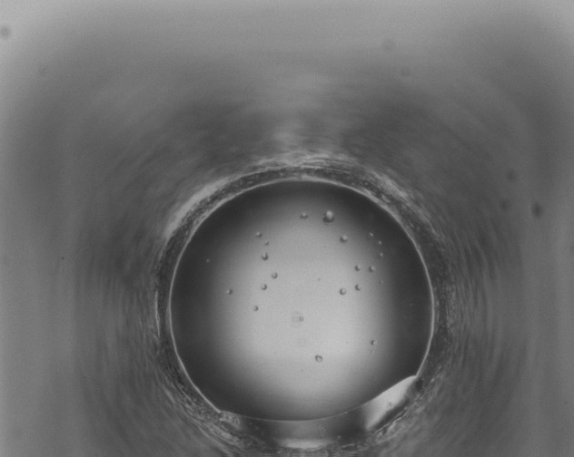 X0000068841214200605121358