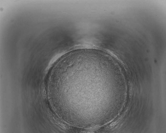 X0000068841215200605121358