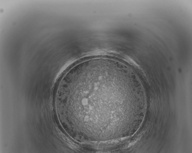 X0000068841216200605121358