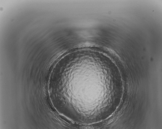 X0000068841217200605121358