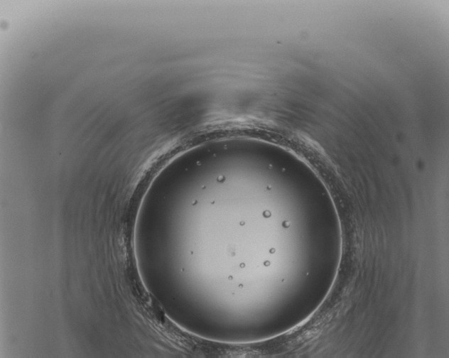 X0000068841218200605121358