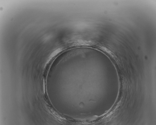 X0000068841219200605121358