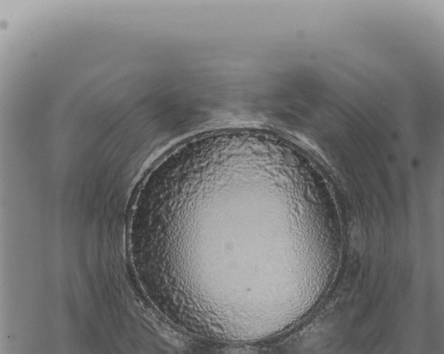 X0000068841220200605121358