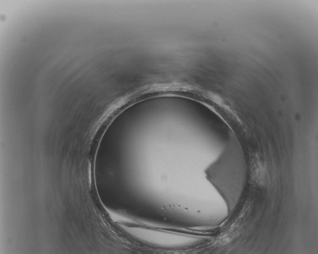 X0000068841221200605121358