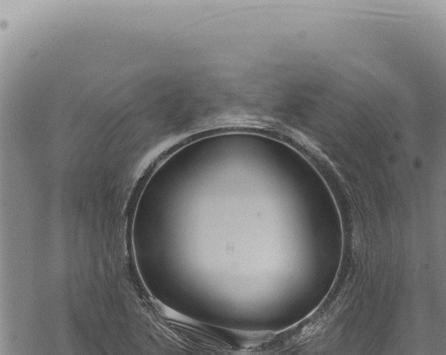 X0000068841222200605121358