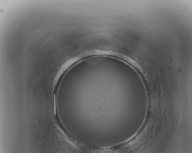 X0000068841223200605121358