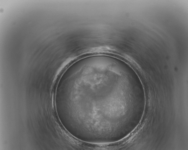 X0000068841224200605121358