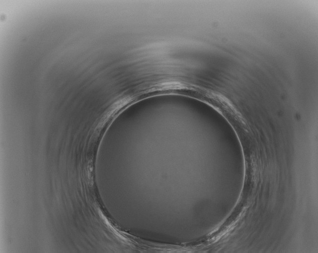 X0000068841225200605121358