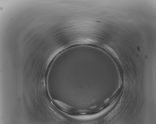 X0000068841226200605121358