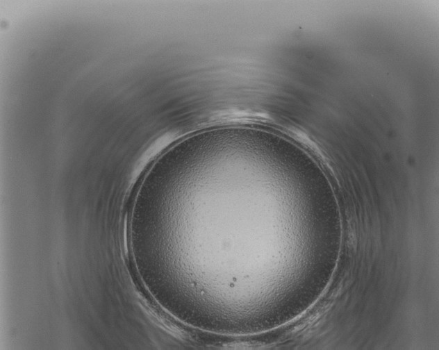 X0000068841227200605121358