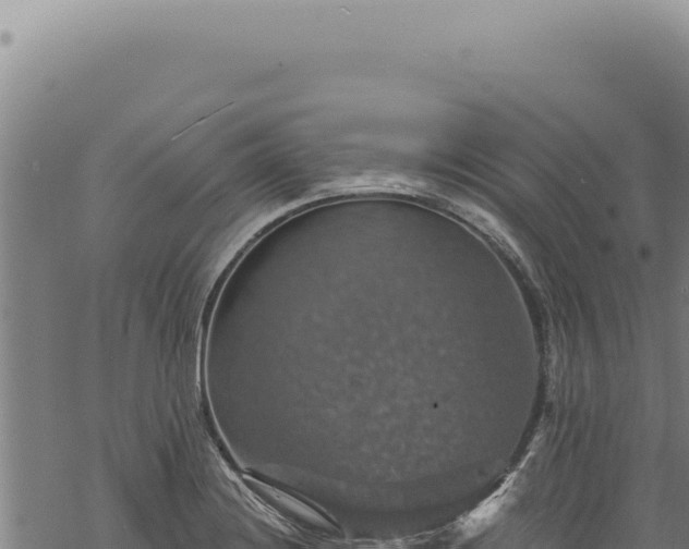 X0000068841228200605121358