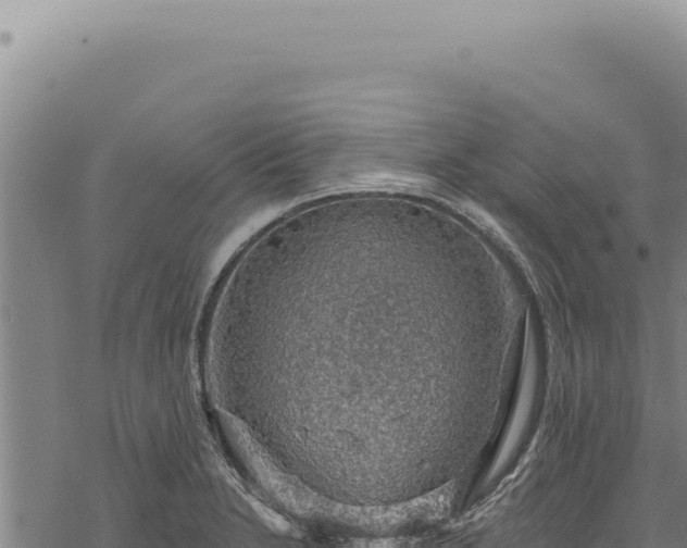 X0000068841230200605121358