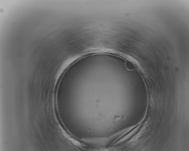 X0000068841231200605121358